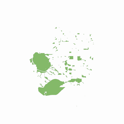 Export Image